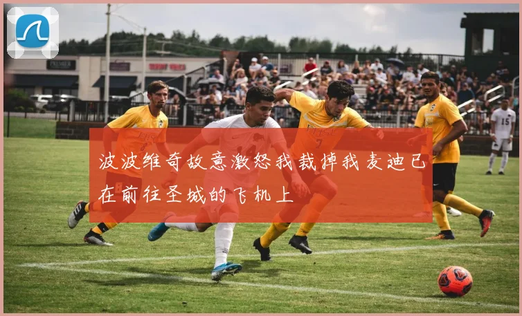 波波维奇故意激怒我裁掉我麦迪已在前往圣城的飞机上